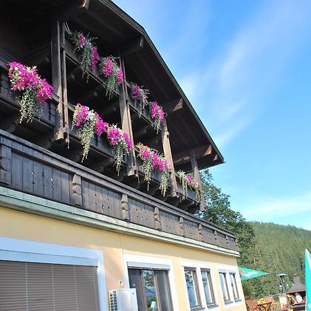 Pension Savisalo Ramsau am Dachstein Kültér fotó
