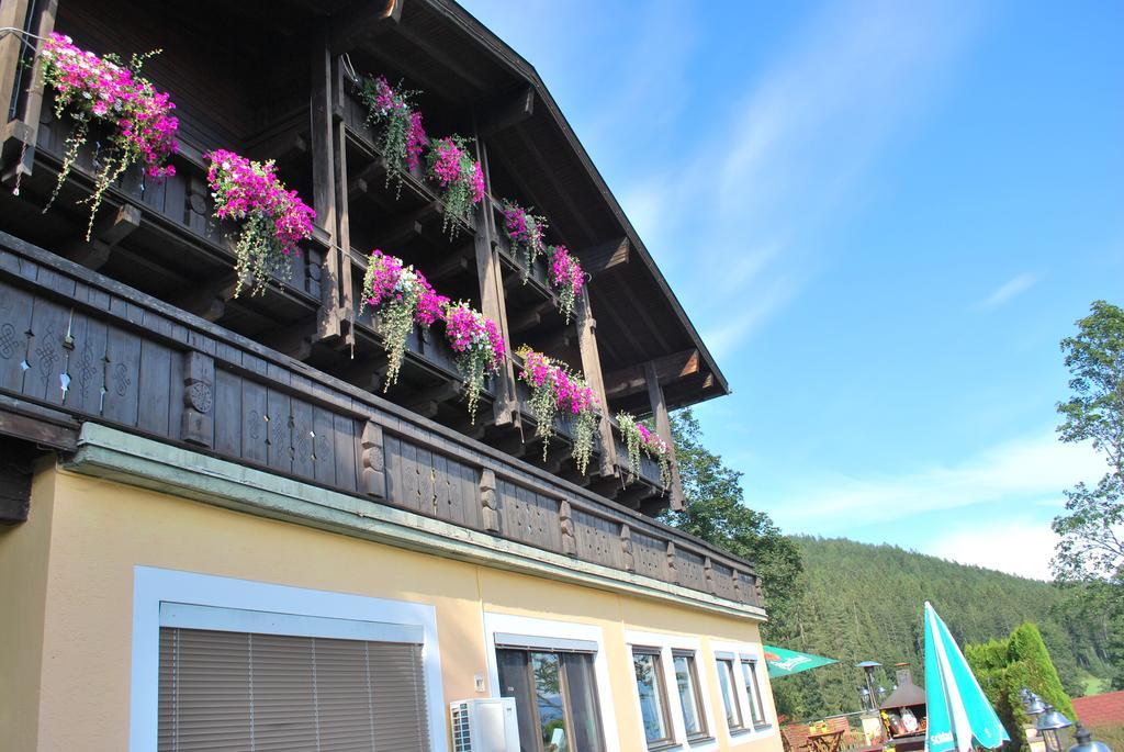 Pension Savisalo Ramsau am Dachstein Kültér fotó